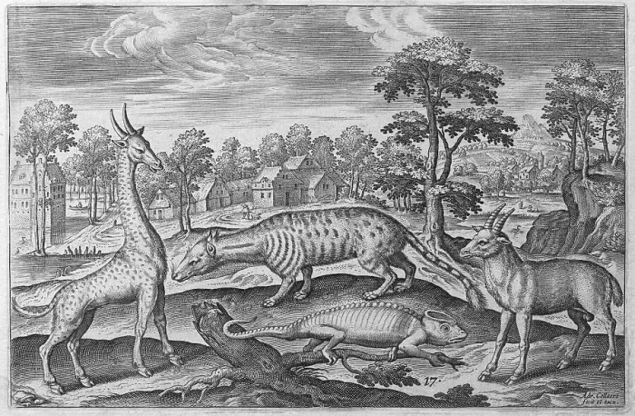 Framed Print : Giraffe, chameleon, civet cat and antelope Framed Print : Giraffe, chameleon, civet cat and antelope