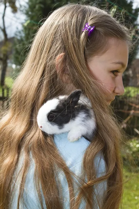 Framed Print : Girl, 10 years old, with a pet rabbit