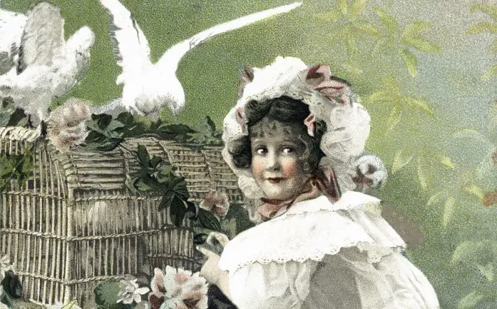 Framed Print : Girl with basket and white doves postcard about 1900 Framed Print : Girl with basket and white doves postcard about 1900