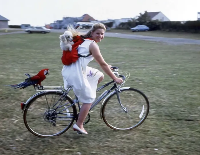 Framed Print : Girl on a bike with a dog and a parrot