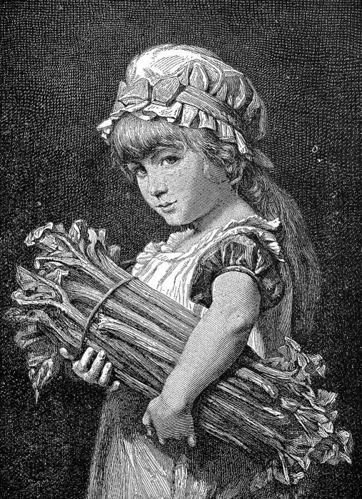 Framed Print : Girl with a bunch of rhubarb sticks Framed Print : Girl with a bunch of rhubarb sticks