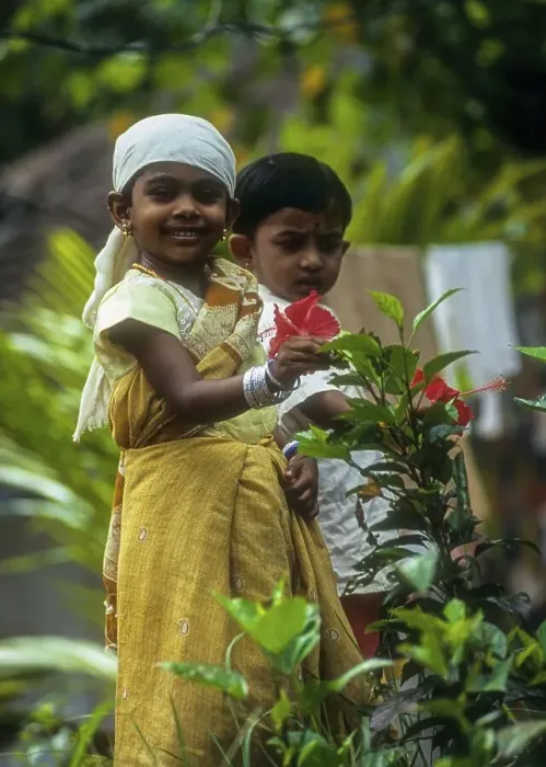 Framed Print : A girl child holding (Hibiscus) flower