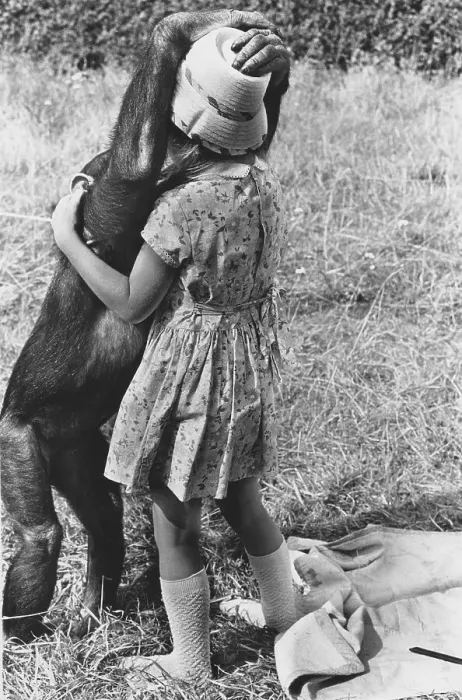 Framed Print : Girl and chimpanzee kissing in the meadow Framed Print : Girl and chimpanzee kissing in the meadow
