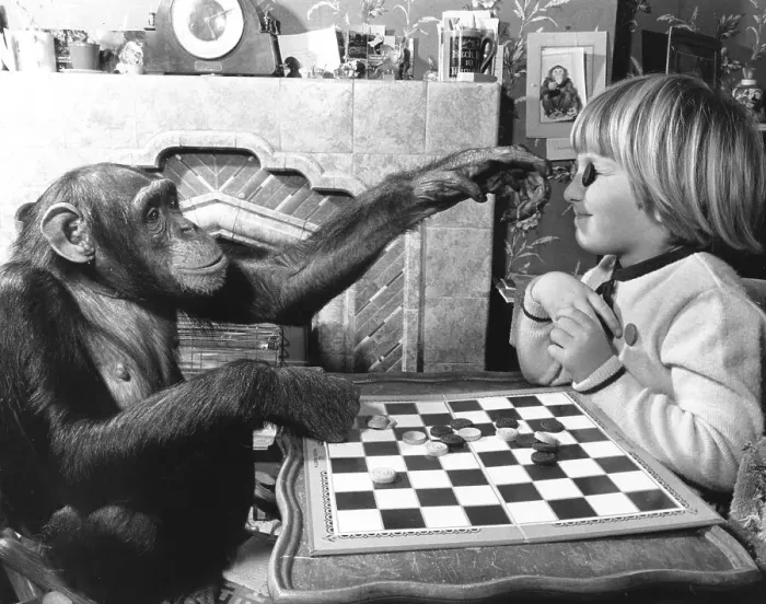 Framed Print : Girl and chimpanzee play the mill Framed Print : Girl and chimpanzee play the mill