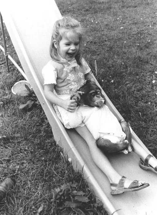 Framed Print : Girl and chimpanzee on the slide