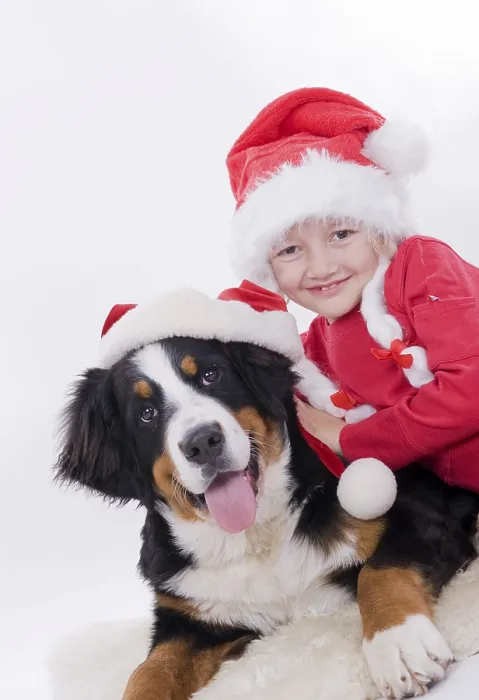 Framed Print : Girl and dog with Christmas hats Framed Print : Girl and dog with Christmas hats