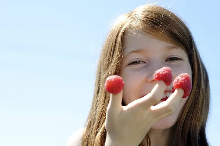Framed Print : Girl has put her fingers into raspberries Framed Print : Girl has put her fingers into raspberries