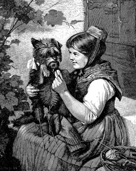 Framed Print : Girl with knitting, playing with her little dog Framed Print : Girl with knitting, playing with her little dog