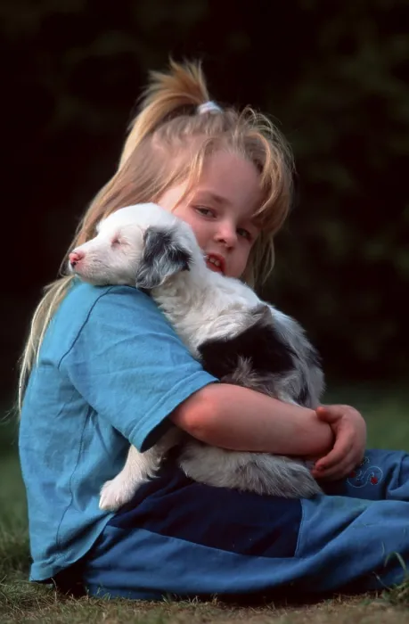 Framed Print : Girl with mixed breed dog, puppy