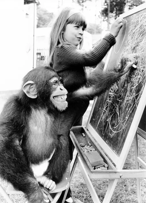 Framed Print : Girl and monkey write on blackboard