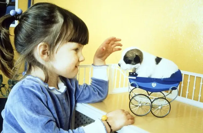 Framed Print : Girl playing with little puppy