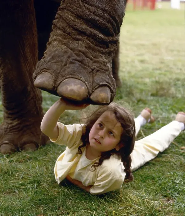 Framed Print : Girl plays with elephant, England, Great Britain