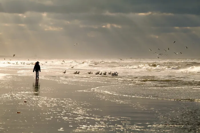 Framed Print : Girl silhouette on North sea beach and sky sunbeams Framed Print : Girl silhouette on North sea beach and sky sunbeams