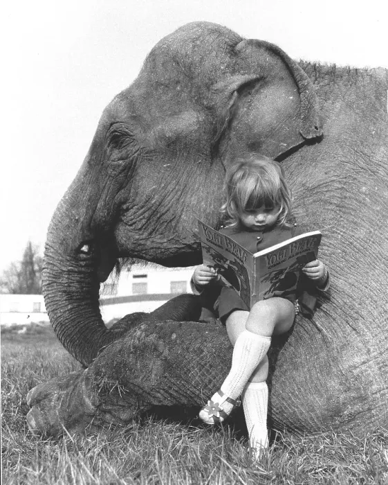 Framed Print : Girl sits on elephant and reads