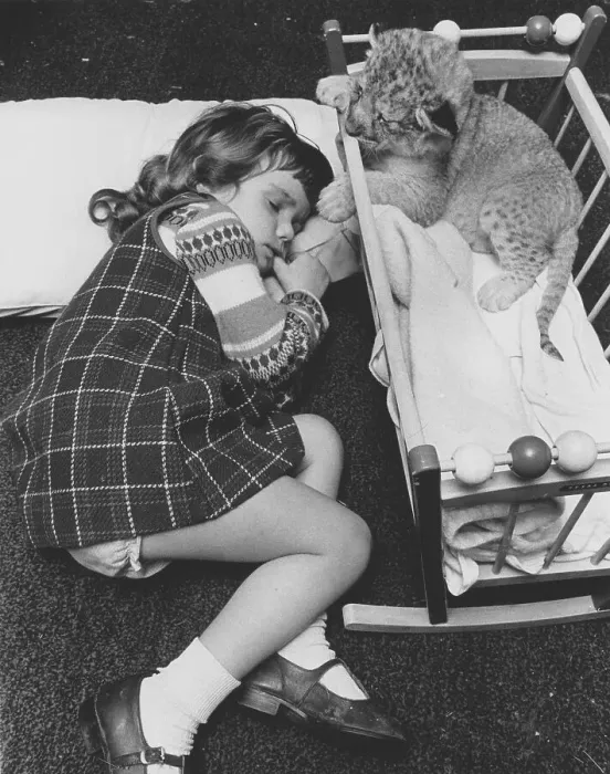 Framed Print : Girl sleeping next to a baby predator