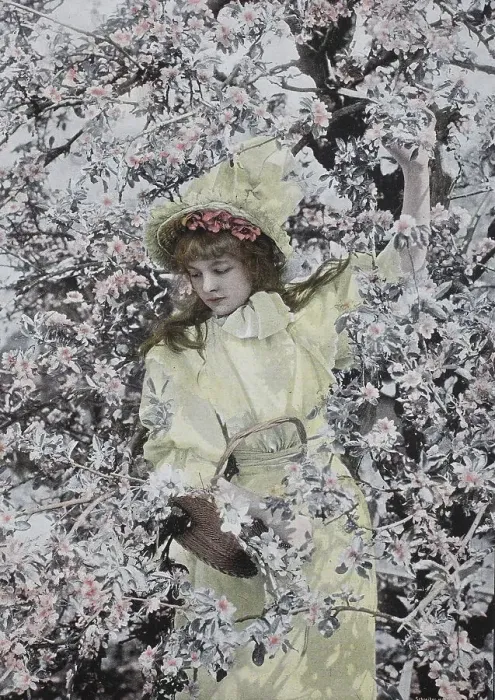 Framed Print : Girl standing under a tree in full bloom
