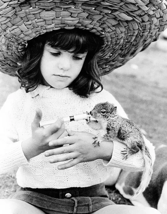 Framed Print : Girl with straw hat feeding chipmunks