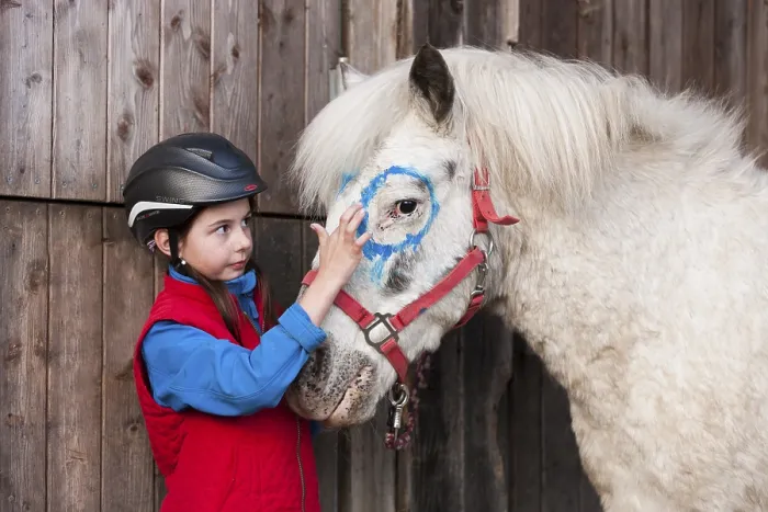 Framed Print : Girl wearing a riding helmet painting a pony with finger paints