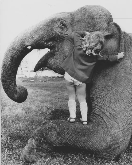 Framed Print : Girl whispers elephant in ear, England