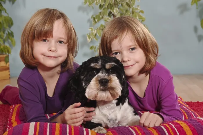 Framed Print : Girls, twins, six years, with mixed breed dog