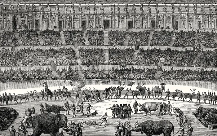 Framed Print : Gladiators fighting animals, reconstruction of the Amphitheatre of Pompeii
