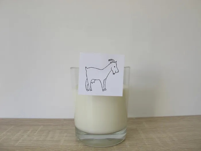 Framed Print : A glass of fresh goat's milk A glass of fresh goat's milk