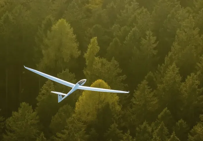 Framed Print : Glider, two-seater, Duo Discus D-5443 over autumn forest