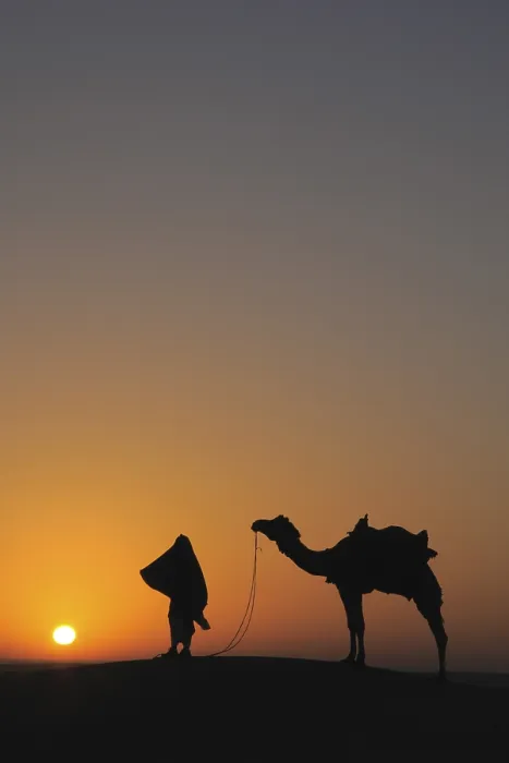 Framed Print : Glorious sunrise man with camel on sand dunes Framed Print : Glorious sunrise man with camel on sand dunes