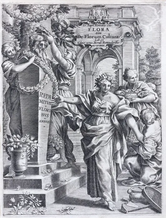 Framed Print : Goddess Flora, copperplate engraving