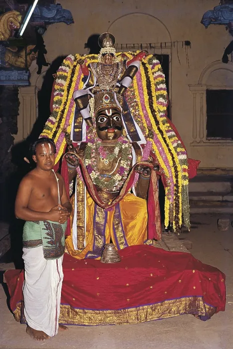 Framed Print : Goddess, kumbakonam temple festival