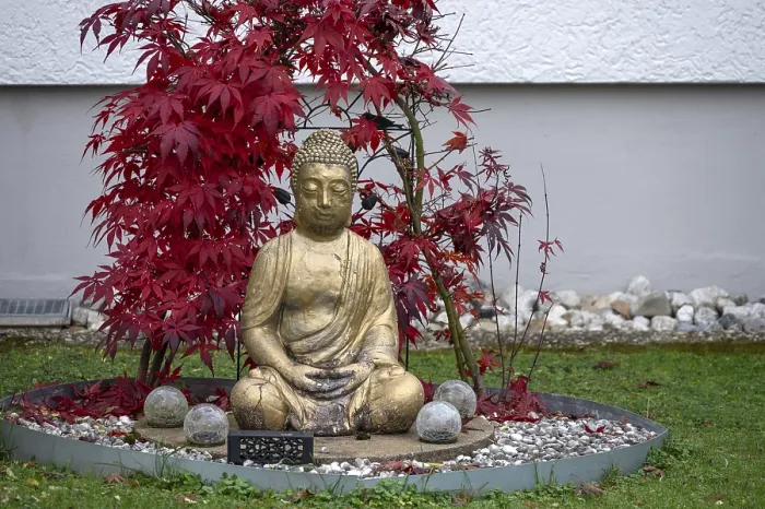 Framed Print : Gold-colored Buddha figure in a front garden Framed Print : Gold-colored Buddha figure in a front garden