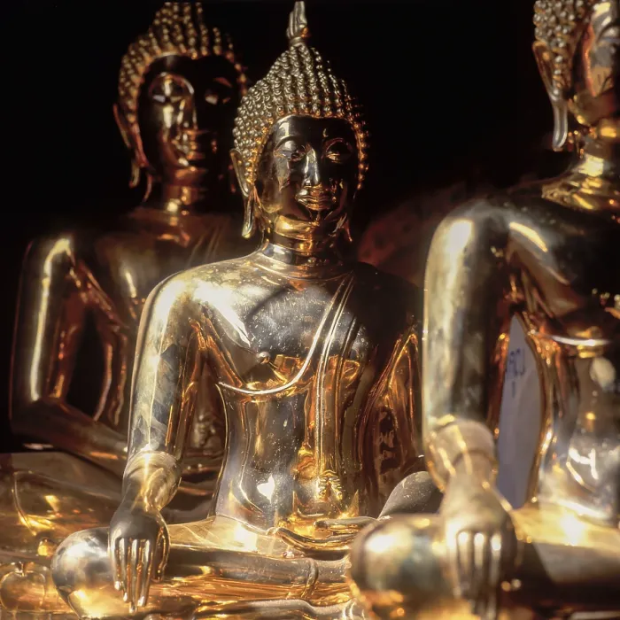 Framed Print : Golden Buddha statues in the temple Wat Chiang Man Framed Print : Golden Buddha statues in the temple Wat Chiang Man