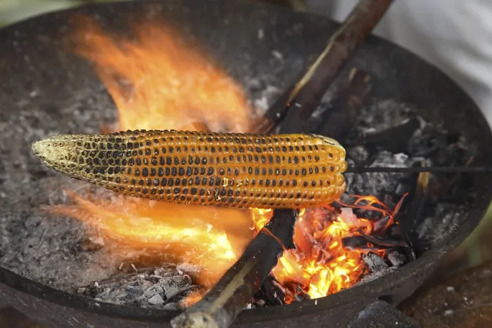 Framed Print : Golden corns, maize kept on coal fire orange flames for roasting scorching barbecue Framed Print : Golden corns, maize kept on coal fire orange flames for roasting scorching barbecue
