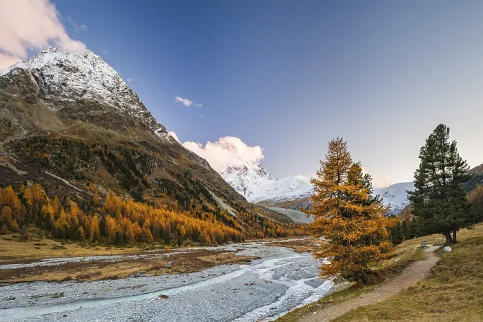 Framed Print : Golden larches, stream and snow-covered mountains in Val Roseg