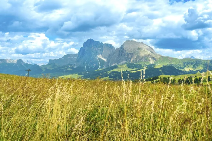 Framed Print : Golden meadow blowing in the wind with the sassolungo and sassopiatto mountains in the background