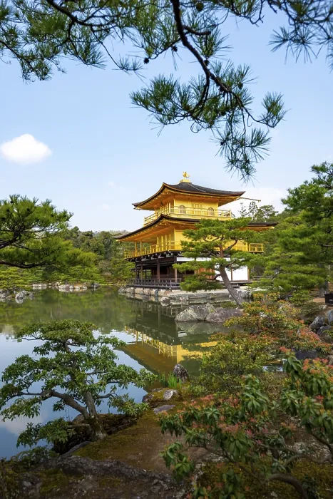 Framed Print : Golden Pavilion reflected in pond
