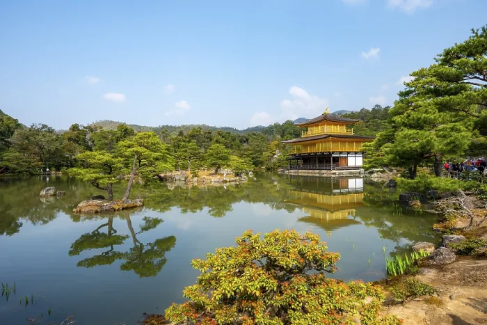 Framed Print : Golden Pavilion reflected in pond