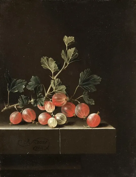 Framed Print : Gooseberries on a Table, 1701, Painting by Adriaen Coorte, Historic, digitally restored reproduction of an original from the period