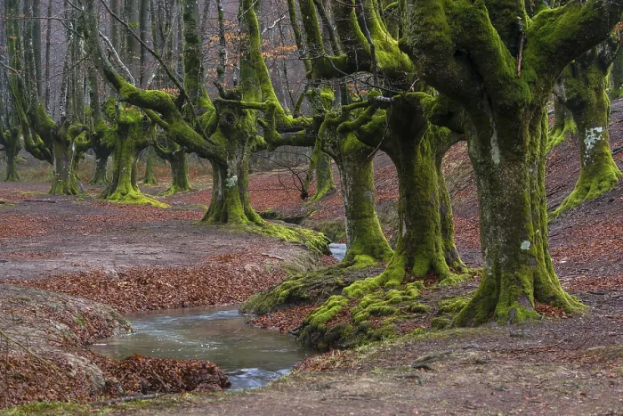Framed Print : Gorbea Natural Park, Parque natural de Gorbea