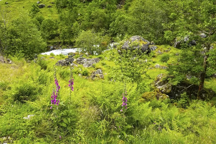 Framed Print : Gorgeous mountainous Norway. Journey to the fabulous northern country in the middle of summer