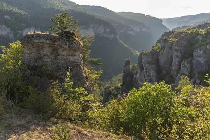 Framed Print : Gorges of Jonte in Cevennes National Park Framed Print : Gorges of Jonte in Cevennes National Park