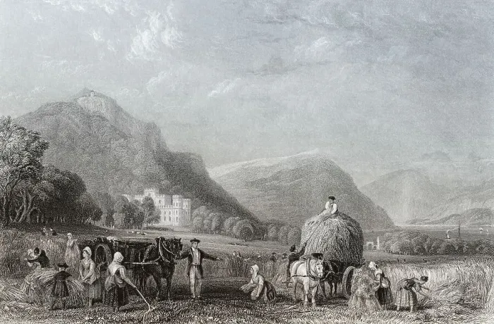 Framed Print : Grain harvest, Inveraray Castle Framed Print : Grain harvest, Inveraray Castle