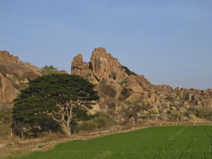 Framed Print : Granite mountains, tree and rice field