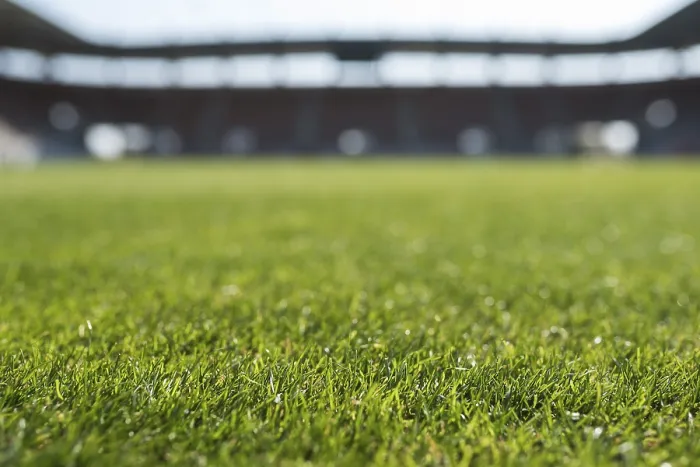 Framed Print : Grass at football stadium during sunny day, Poland Framed Print : Grass at football stadium during sunny day, Poland