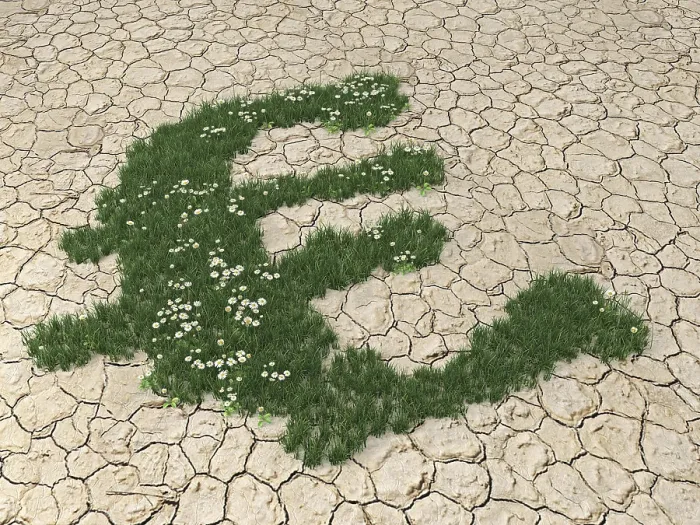 Framed Print : Grass growing in the form of a euro symbol on parched soil