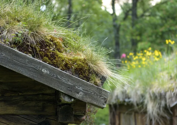 Framed Print : Detail of grass roof on wooden house