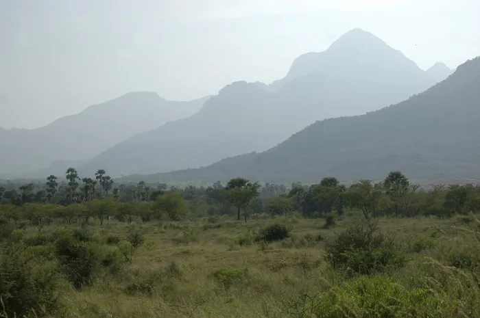 Framed Print : Grasslands and western ghats in Tamil Nadu