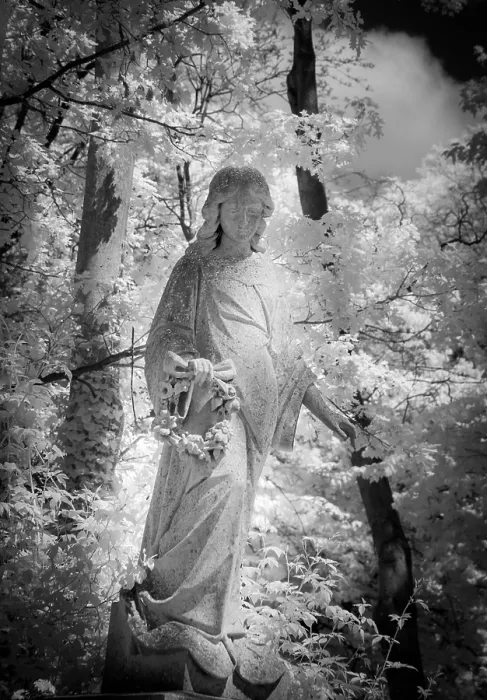 Framed Print : Graves in Highgate Cemetery London in black and white