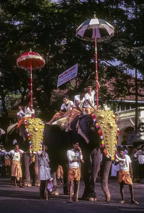 Framed Print : Great Elephant March Festival in Thiruvananthapuram Trivandrum Framed Print : Great Elephant March Festival in Thiruvananthapuram Trivandrum