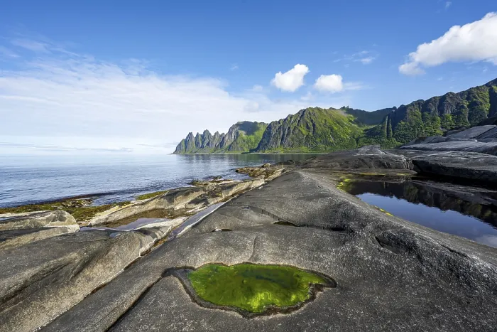 Framed Print : Green algae in a tidal pool, rocky coast of Tungeneset